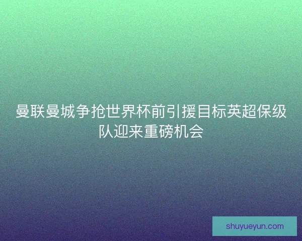 曼联曼城争抢世界杯前引援目标英超保级队迎来重磅机会