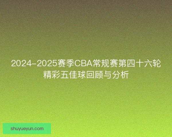2024-2025赛季CBA常规赛第四十六轮精彩五佳球回顾与分析